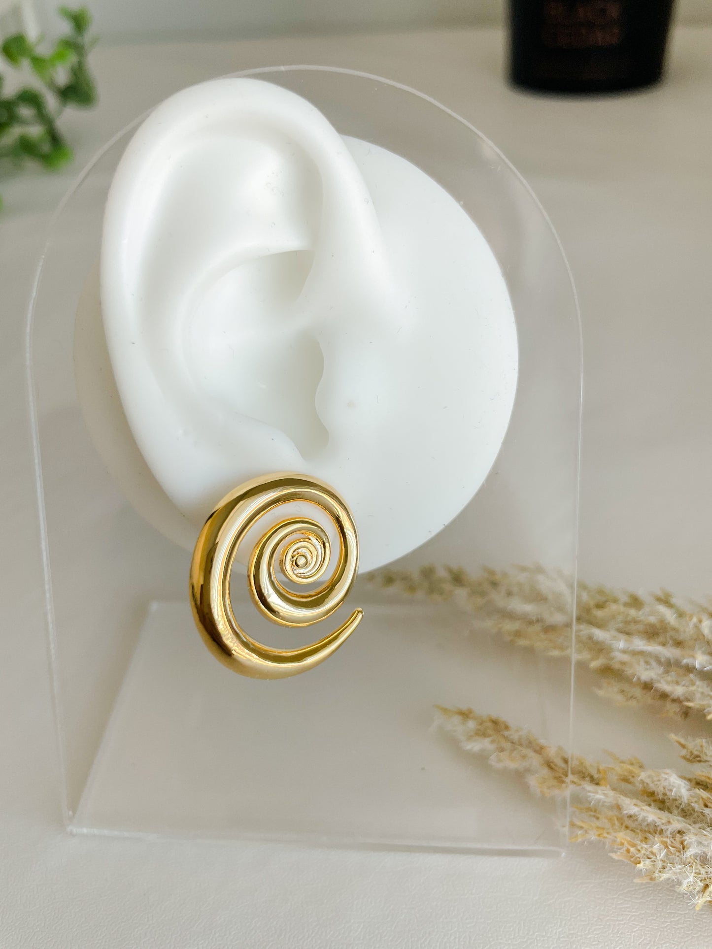 Spiral Earrings